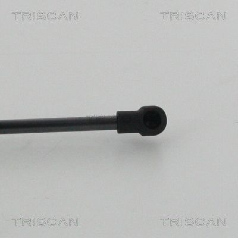 TRISCAN 8710 14254 Gasfeder Hinten für Nissan