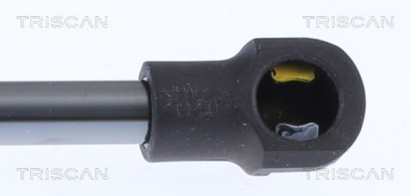 TRISCAN 8710 14260 Gasfeder Hinten für Nissan Pulsar / Acenta