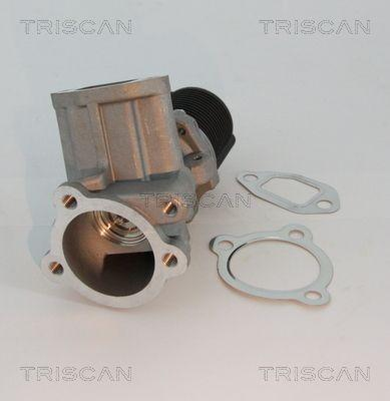 TRISCAN 8813 10003 Agr Ventil für Psa/Fiat/Gm