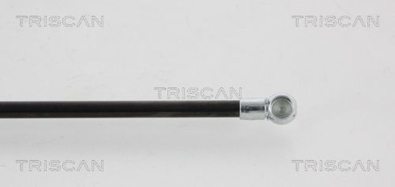 TRISCAN 8710 41215 Gasfeder Hinten für Daihatsu Sirion