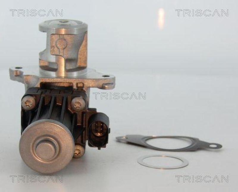 TRISCAN 8813 10004 Agr Ventil für Psa/Fiat/Gm