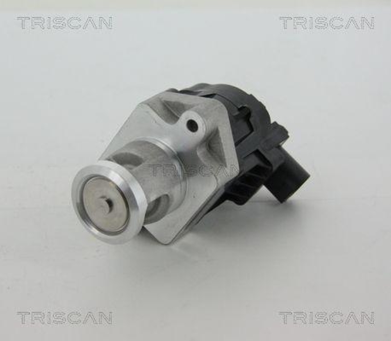 TRISCAN 8813 10006 Agr Ventil für Psa/Fiat/Gm