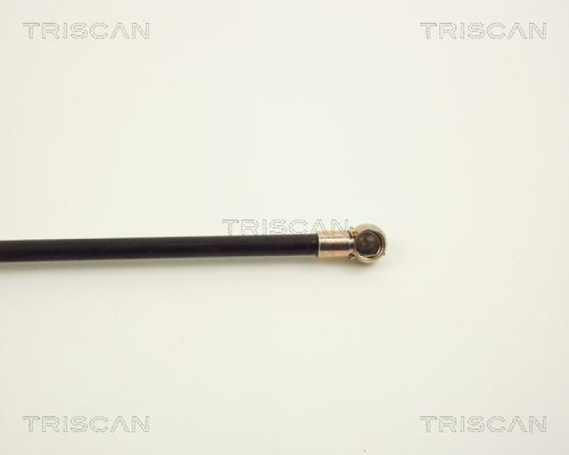 TRISCAN 8710 1513 Gasfeder Hinten für Lancia Y10