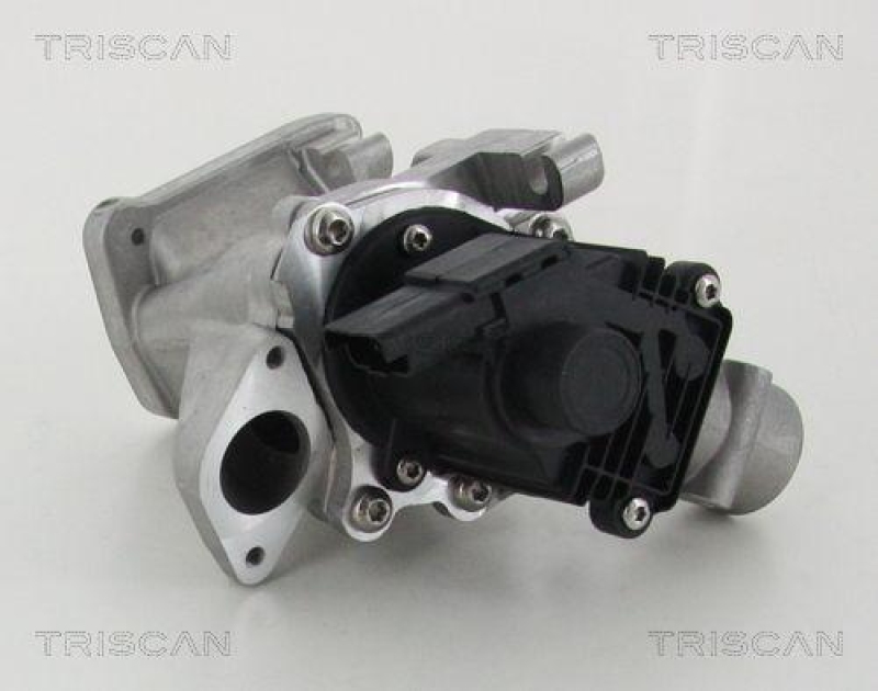 TRISCAN 8813 10007 Agr Ventil für Ford/Volvo/Mazda