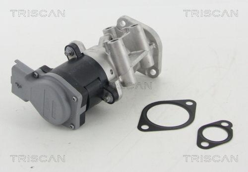 TRISCAN 8813 10009 Agr Ventil für Psa/Fiat/Gm