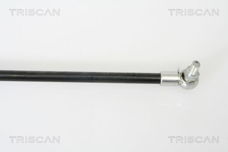 TRISCAN 8710 42229 Gasfeder Hinten für Mitsubishi L400