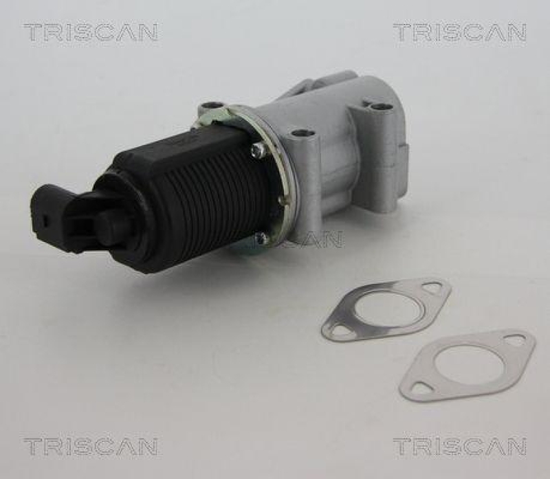 TRISCAN 8813 10015 Agr Ventil für Opel/Fiat/Gm