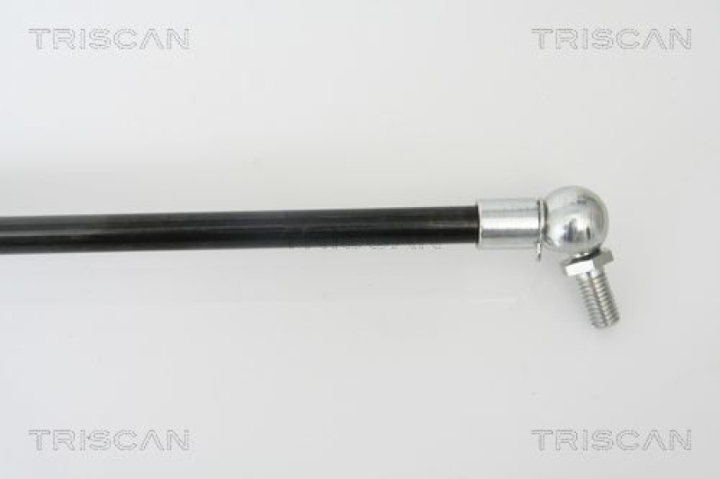 TRISCAN 8710 42230 Gasfeder Hinten für Mitsubishi L400