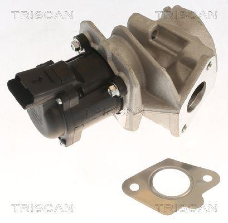 TRISCAN 8813 10018 Agr Ventil für Ford, Volvo, Mazda