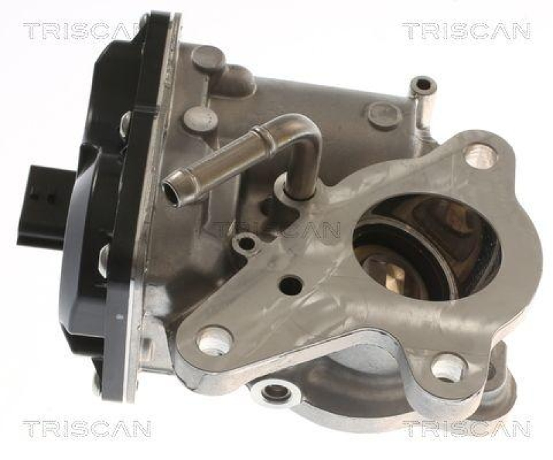 TRISCAN 8813 10116 Agr Ventil für Opel, Renault