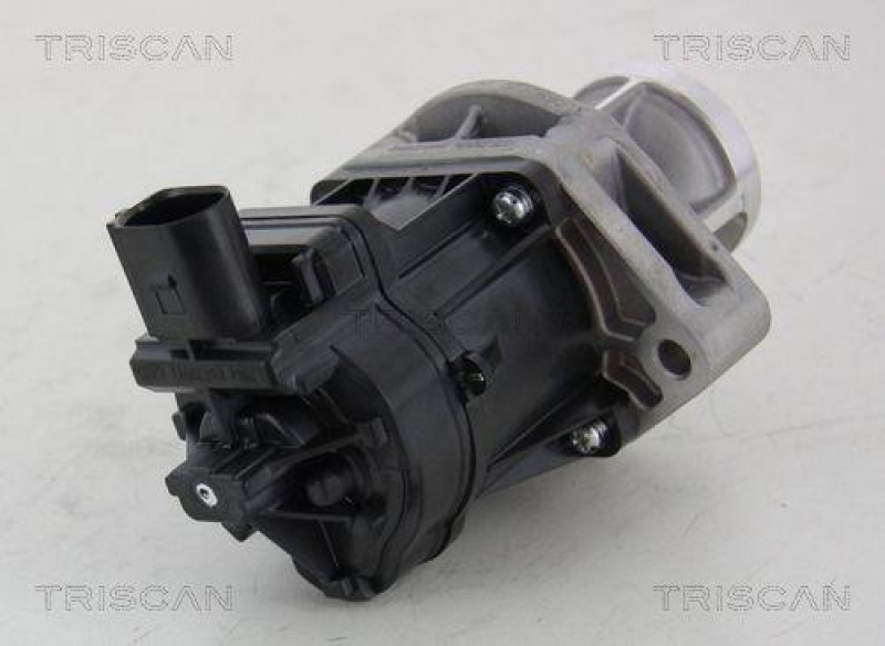 TRISCAN 8813 10214 Agr Ventil für Fiat/Chrysler