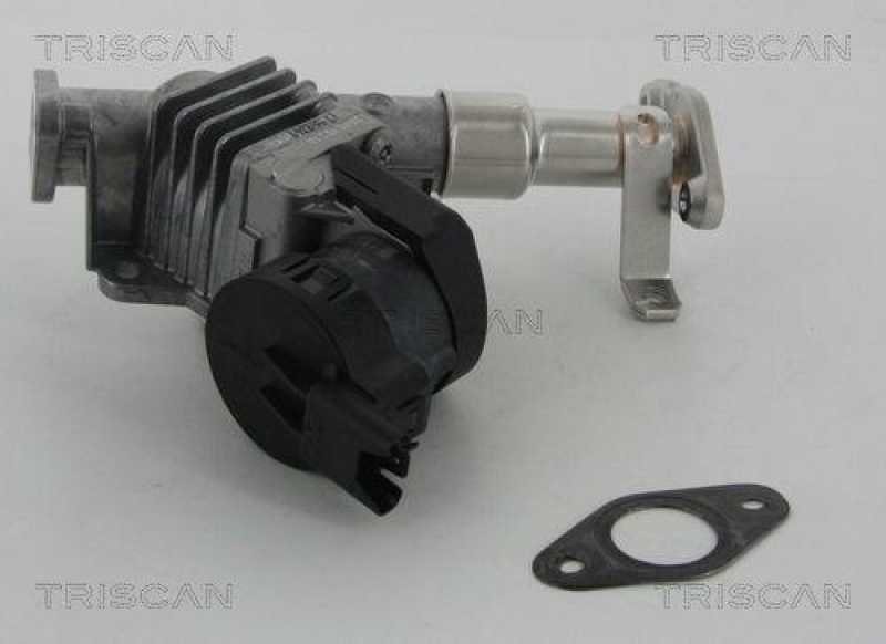 TRISCAN 8813 11006 Agr Ventil für Bmw