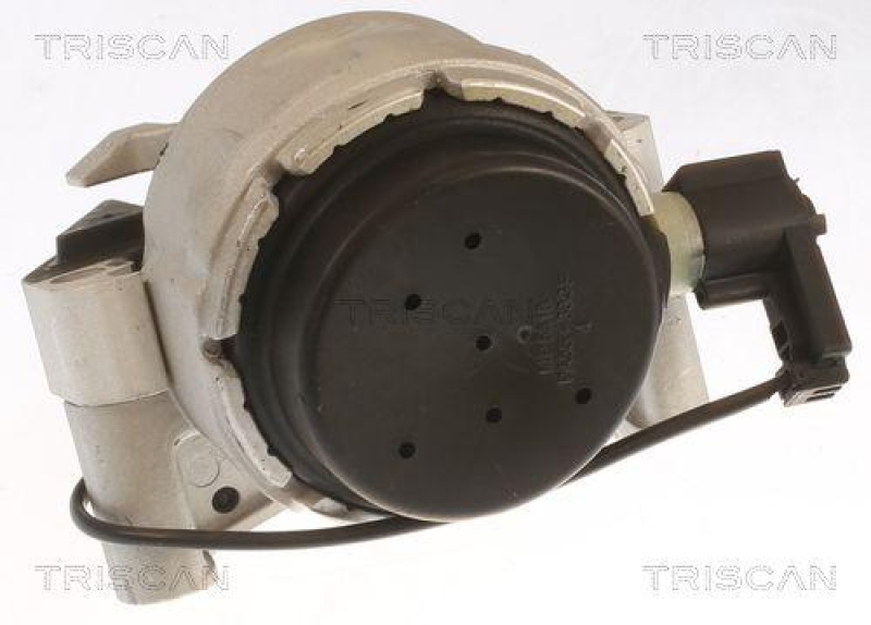 TRISCAN 8505 29170 Motoraufhängung für Audi A6, A7