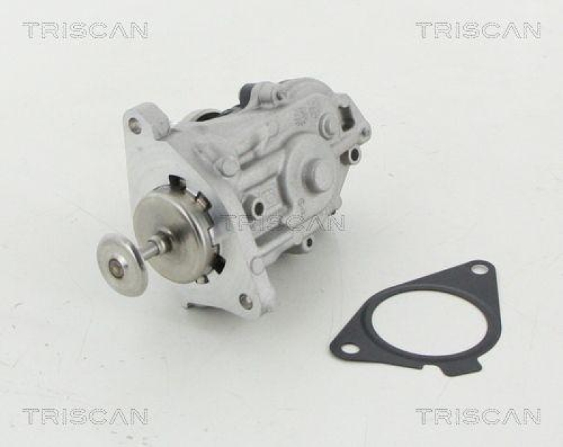 TRISCAN 8813 11007 Agr Ventil für Bmw