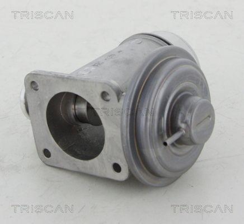 TRISCAN 8813 11102 Agr Ventil für Bmw