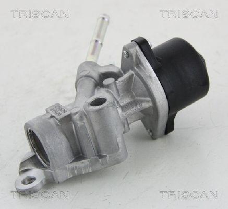 TRISCAN 8813 13025 Agr Ventil für Toyota