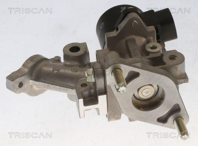 TRISCAN 8813 13067 Agr Ventil für Toyota Prius,Auris,Ct200