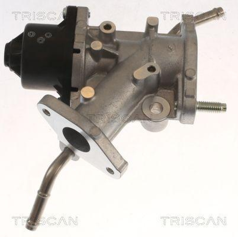 TRISCAN 8813 13068 Agr Ventil für Toyota