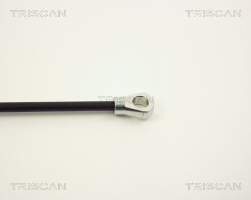 TRISCAN 8710 1601 Gasfeder Hinten für Ford Fiesta I