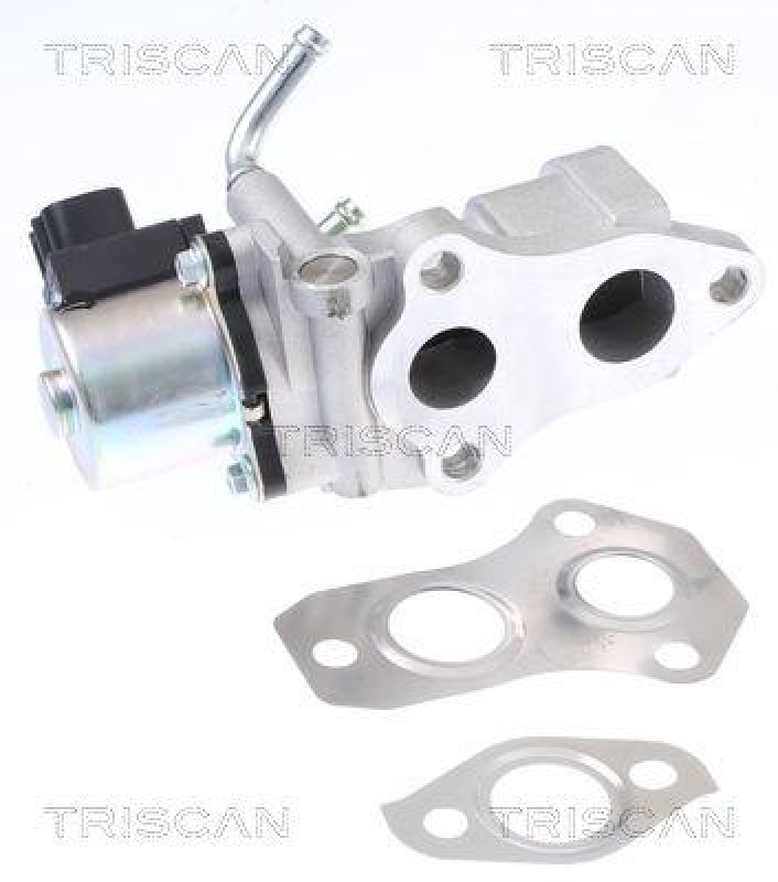 TRISCAN 8813 13201 Agr Ventil für Toyota