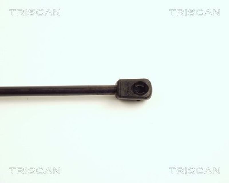 TRISCAN 8710 16100 Gasfeder Vorne für Ford Scorpio