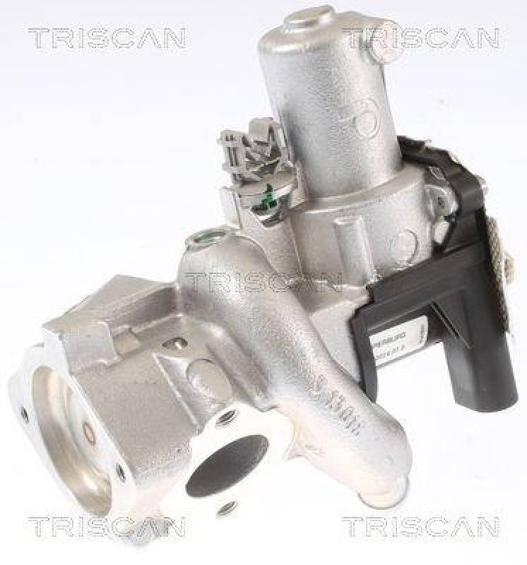 TRISCAN 8813 14006 Agr Ventil für Nissan, Infiniti