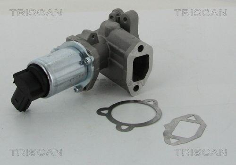 TRISCAN 8813 15052 Agr Ventil für Fiat/Psa