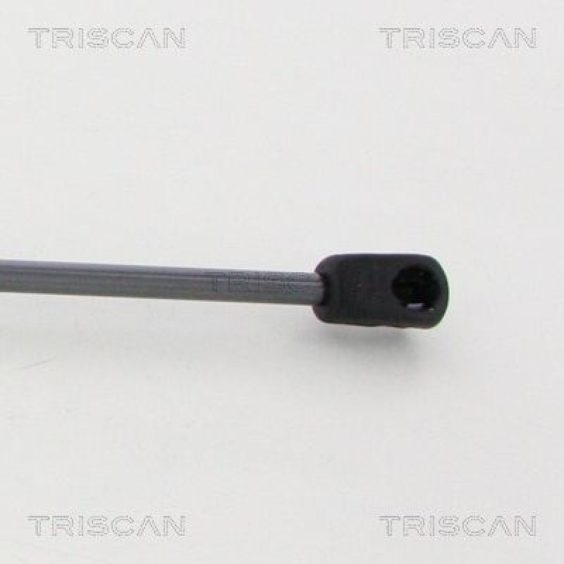 TRISCAN 8710 16105 Gasfeder Vorne für Ford Mondeo