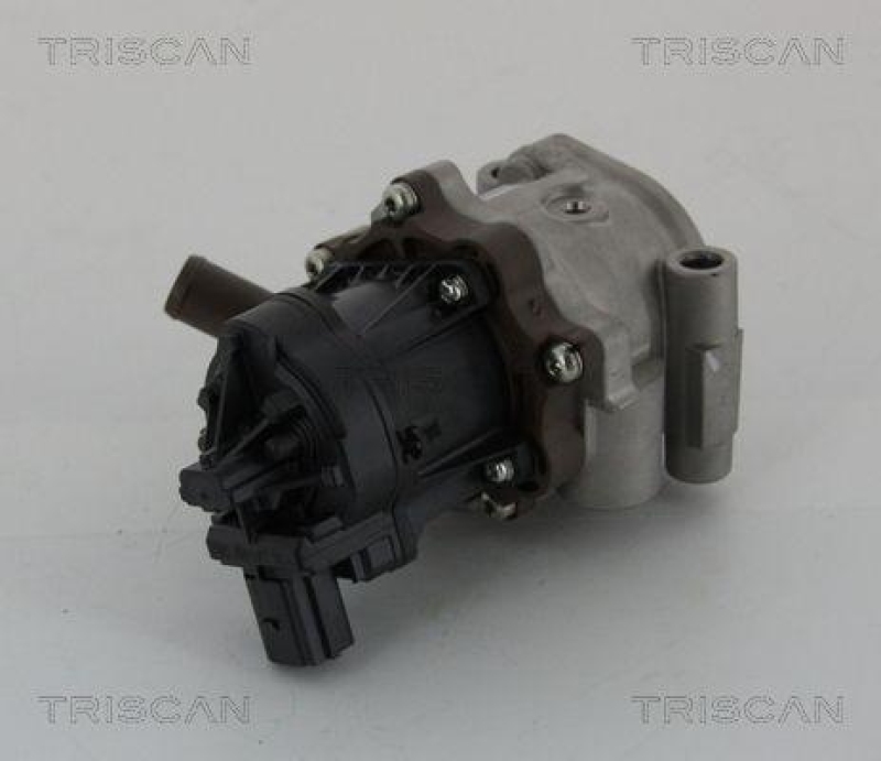 TRISCAN 8813 15208 Agr Ventil für Fiat