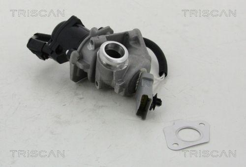 TRISCAN 8813 16008 Agr Ventil für Ford/Volvo/Mazda