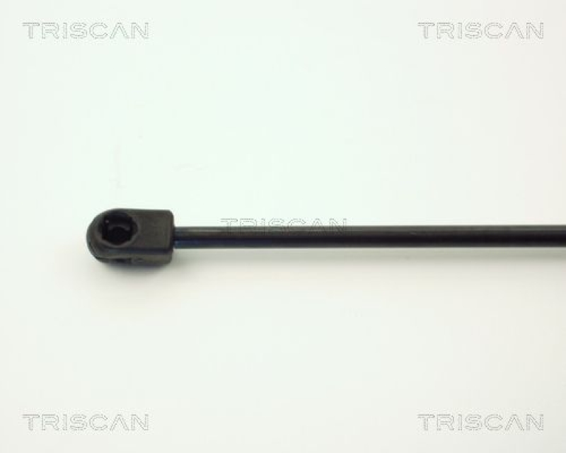 TRISCAN 8710 1620 Gasfeder Hinten für Ford Fiesta Iii