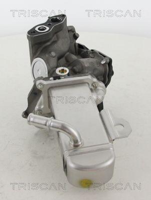 TRISCAN 8813 16014 Agr Ventil für Ford/Volvo/Mazda