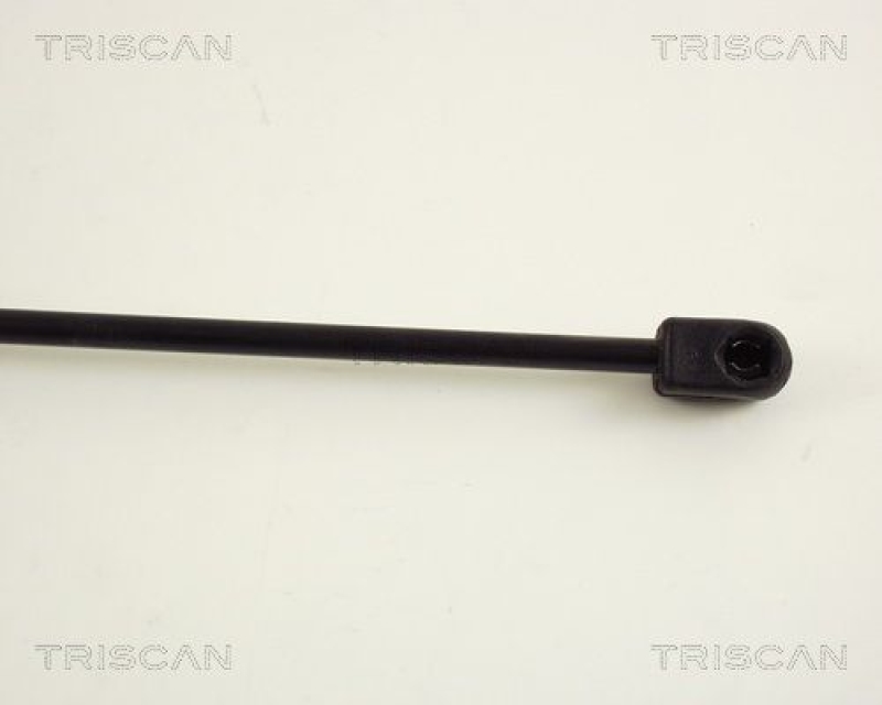 TRISCAN 8710 16209 Gasfeder Hinten für Ford Fiesta Iii