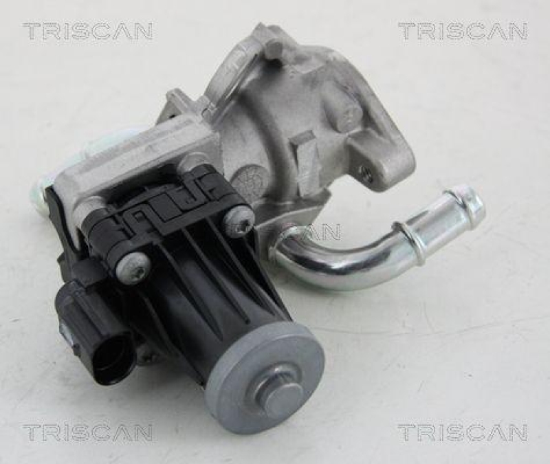 TRISCAN 8813 16036 Agr Ventil für Ford/Volvo/Mazda