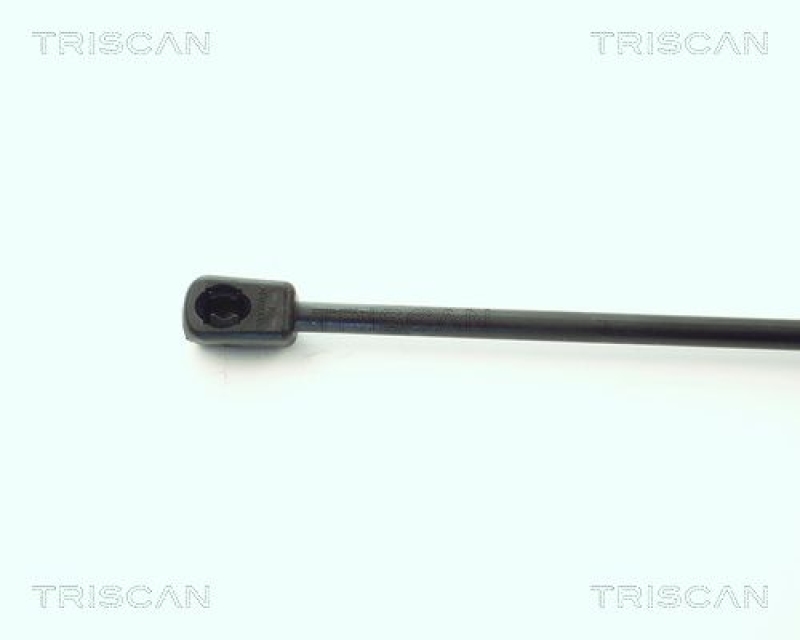 TRISCAN 8710 1621 Gasfeder Hinten für Ford Fiesta Iii