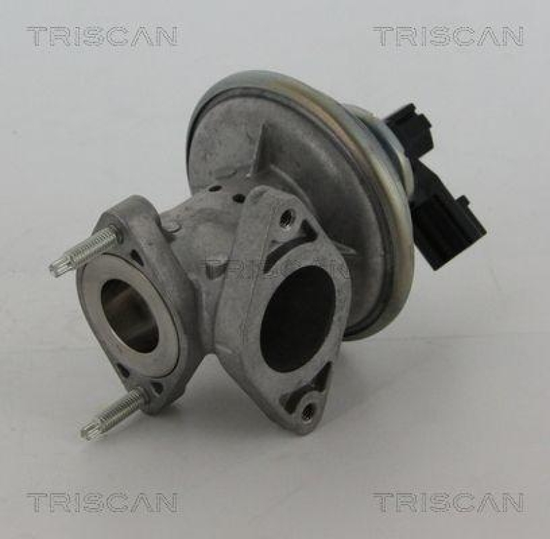 TRISCAN 8813 16043 Agr Ventil für Ford/Volvo/Mazda