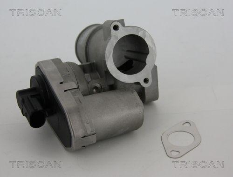 TRISCAN 8813 16101 Agr Ventil für Ford