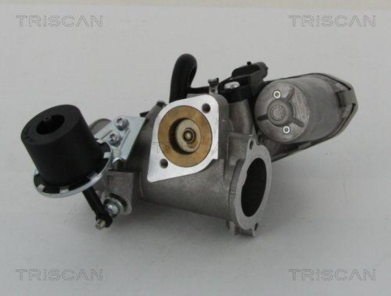 TRISCAN 8813 16202 Agr Ventil für Ford