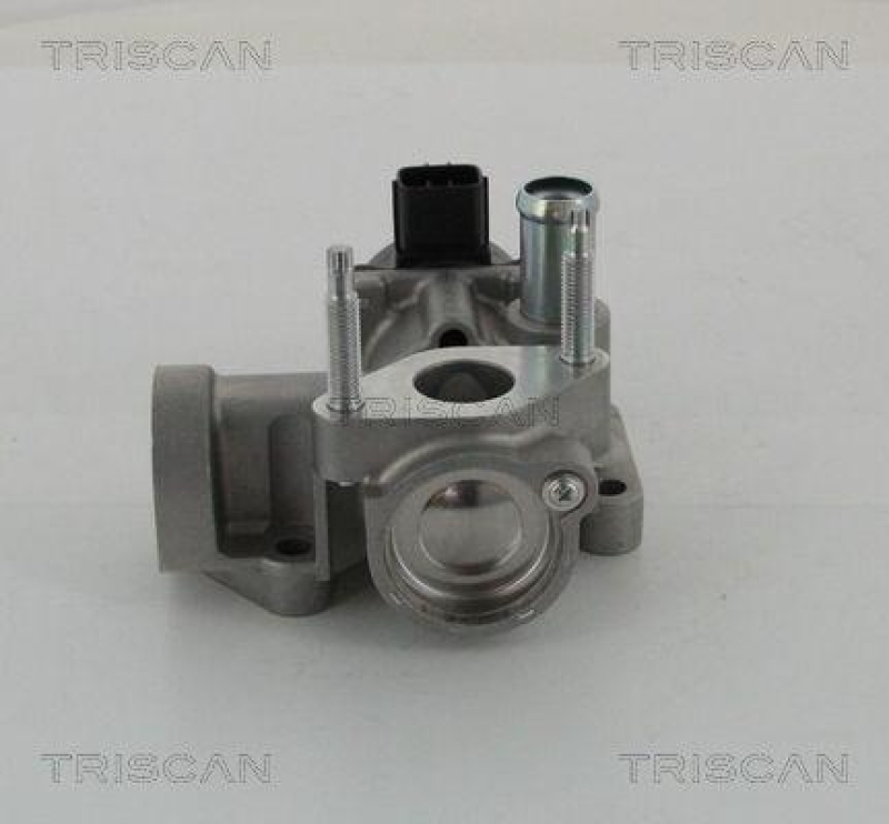 TRISCAN 8813 16203 Agr Ventil für Ford