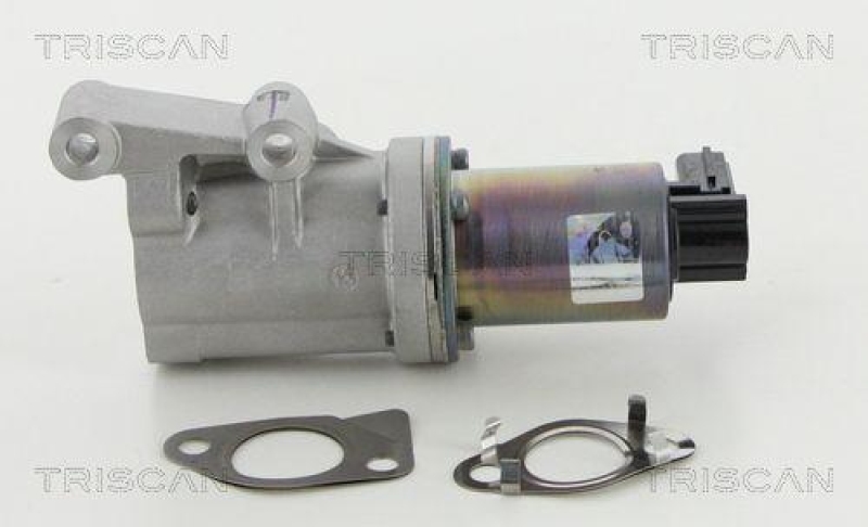 TRISCAN 8813 18038 Agr Ventil für Hyundai/Kia