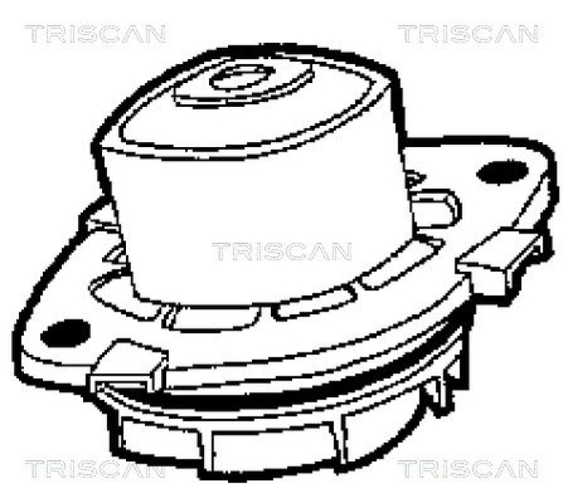 TRISCAN 8600 15013 Wasserpumpe für Fiat Brava/Bravo 1.4I 12V