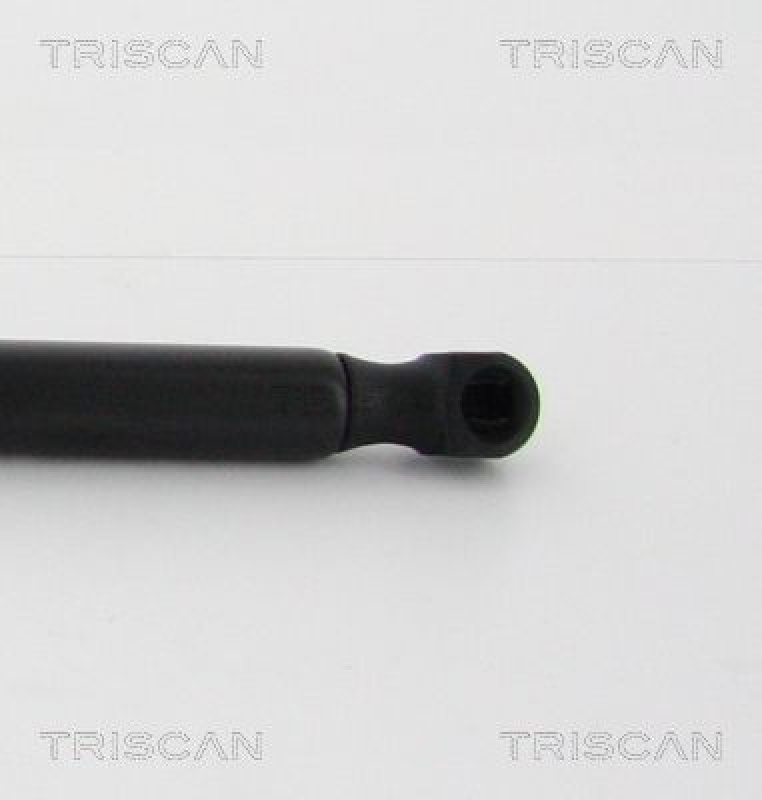 TRISCAN 8710 16260 Gasfeder Hinten für Ford Focus Hatchback