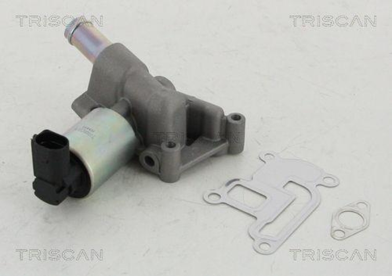 TRISCAN 8813 24003 Agr Ventil für Opel/Fiat/Gm