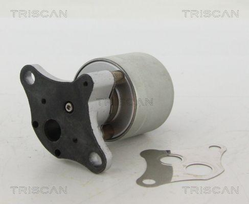 TRISCAN 8813 24004 Agr Ventil für Opel/Saab