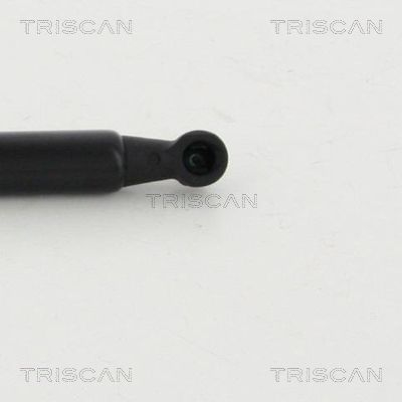 TRISCAN 8710 16265 Gasfeder Hinten für Ford B-Max