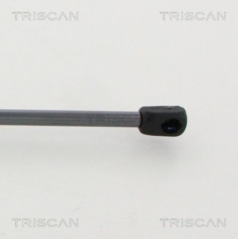 TRISCAN 8710 16273 Gasfeder Hinten für Ford Transit