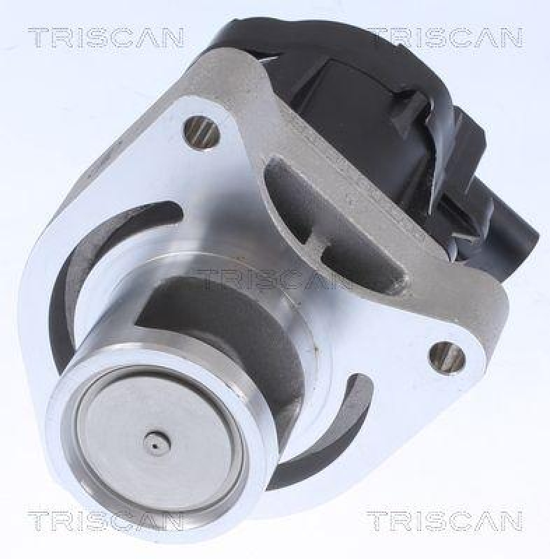 TRISCAN 8813 24084 Agr Ventil für Opel, Chevrolet