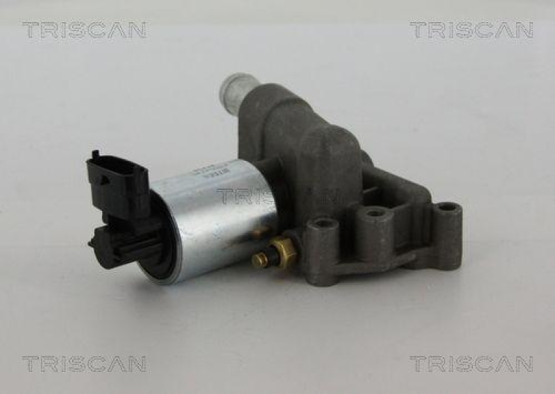 TRISCAN 8813 24102 Agr Ventil für Opel