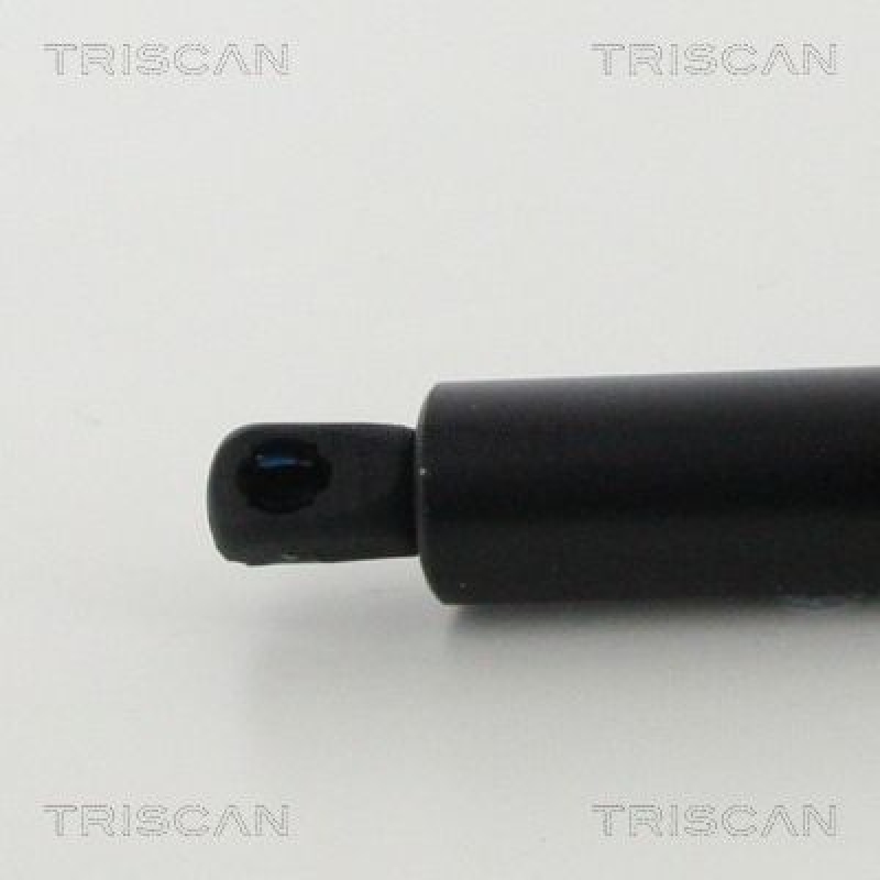 TRISCAN 8710 16276 Gasfeder Hinten für Ford Transit