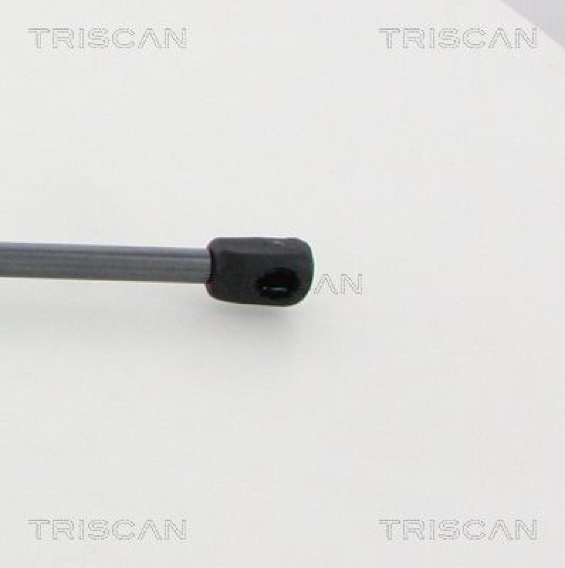 TRISCAN 8710 16277 Gasfeder Hinten für Ford Transit